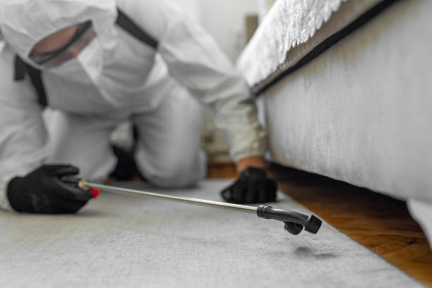 Professional Termite Control technician working in Robins, IA