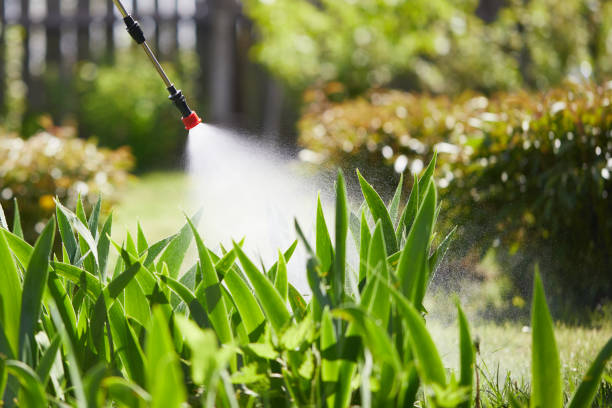 24/7 Emergency Termite Control experts in Robins, IA